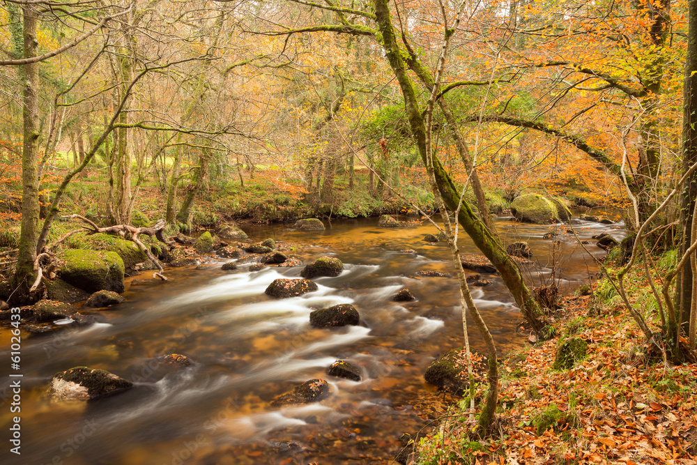 River Teign Dartmoor Devon Uk River Teign Dartmoor Devon Uk