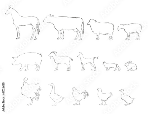 Farm animals vector set. Livestock.