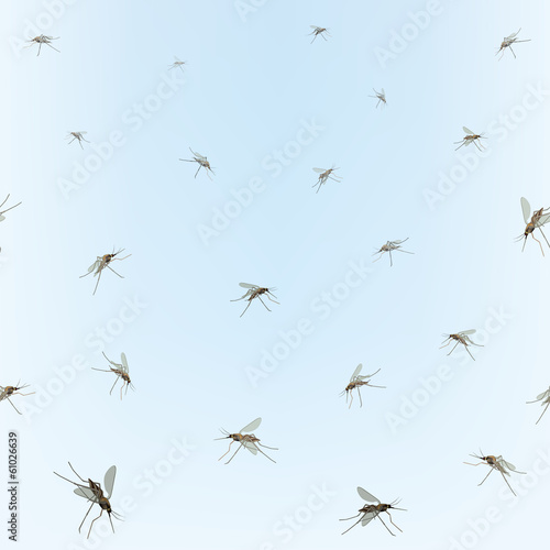 Mosquitos Seamless border. Blue sky background Incest pattern © Terriana