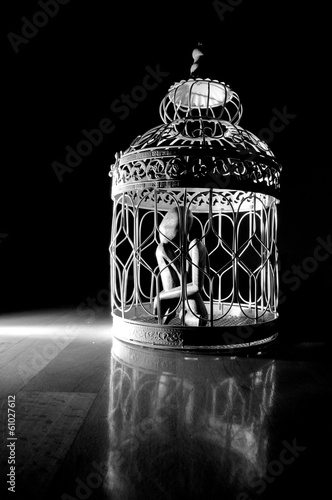 Valokuvatapetti Wooden figurine in a cage