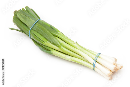Spring onions isolated against a white studio background.