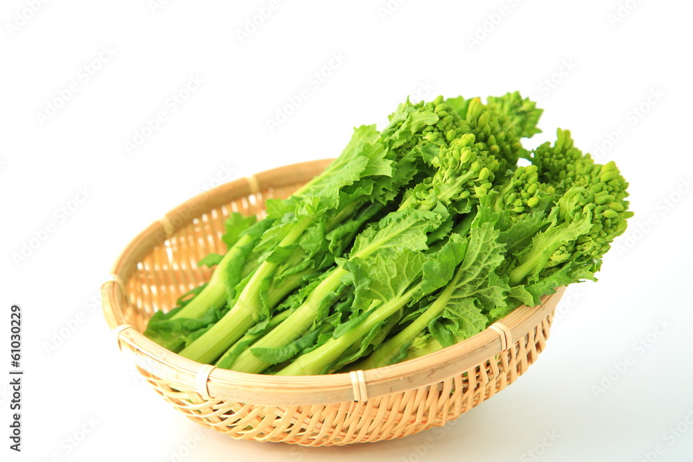 食用菜の花 食用菜の花