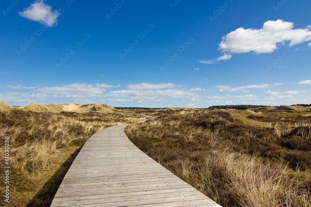 Dünenweg StockFoto Adobe Stock