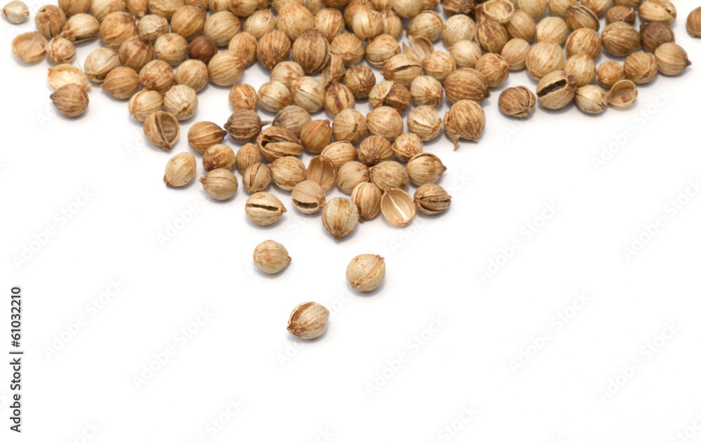 Aniseed isolated on the white background Aniseed isolated on the white background