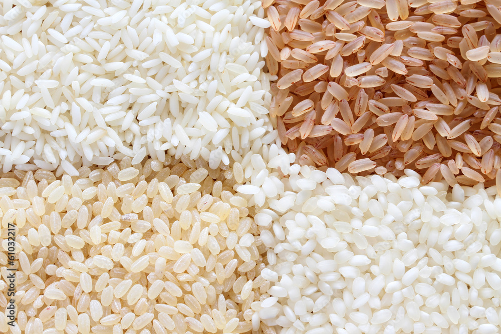 brown and white rice background brown and white rice background