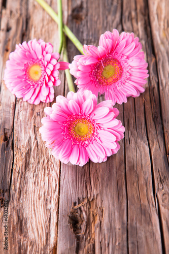 Fototapeta Naklejka Na Ścianę i Meble -  Pink gerbera daisies on wood