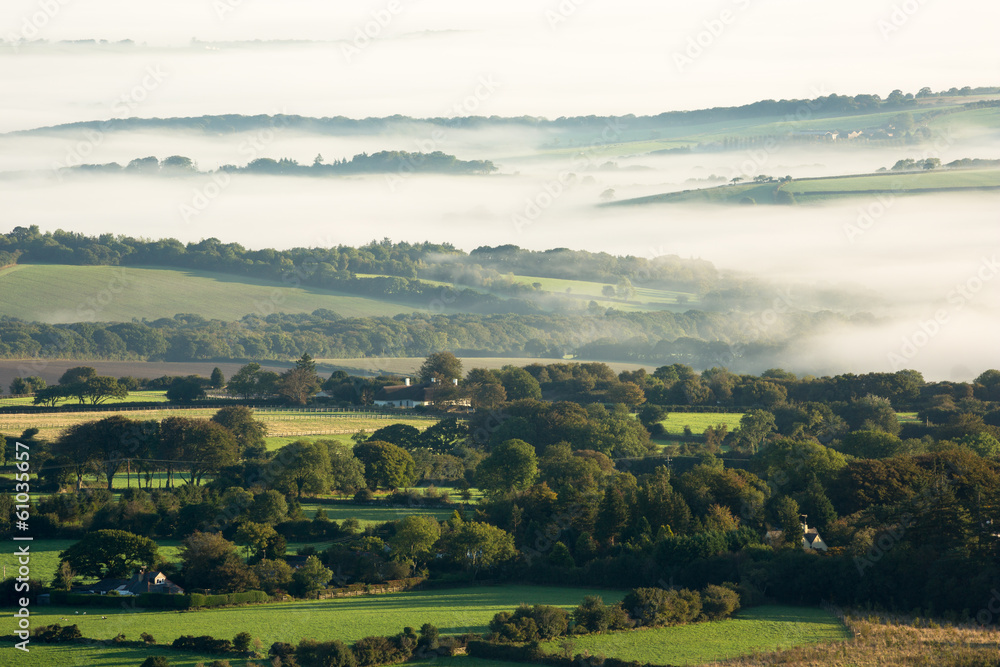 Mist over the english countryside.