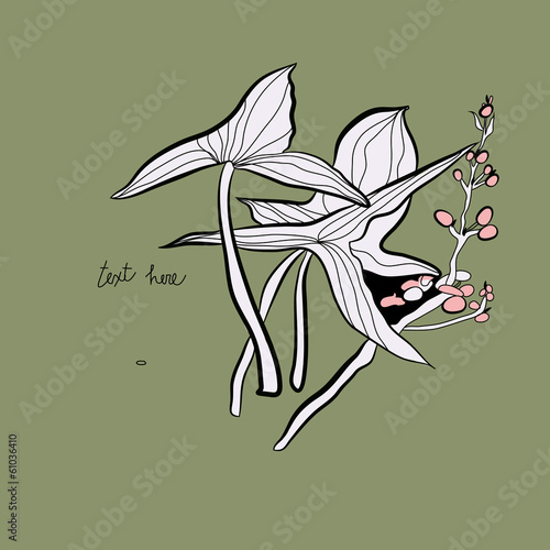 Blooming arrowhead. Sketch