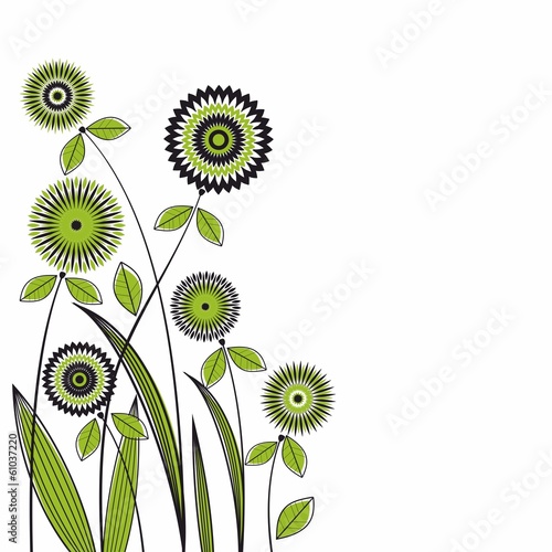 bi-color flower card