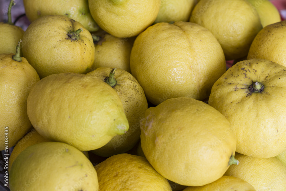 Fototapeta premium Picked lemons from the garden