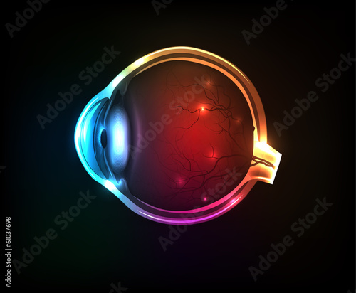 Beautiful colorful human eye