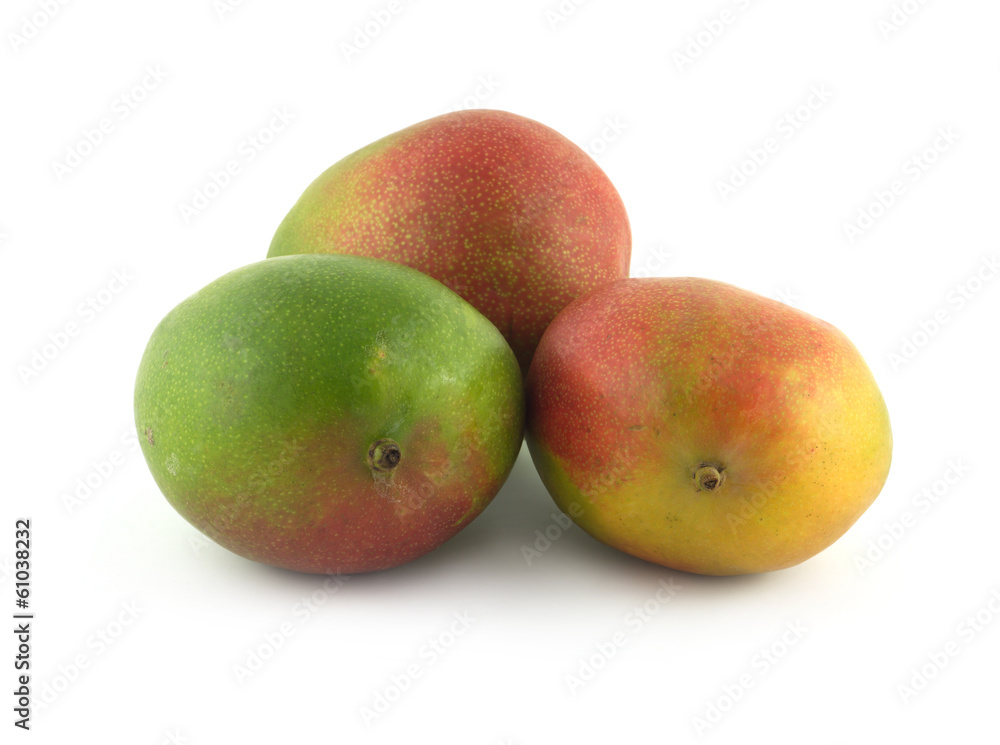 Three ripe tropical fruit mango isolated on white close up Three ripe tropical fruit mango isolated on white close up