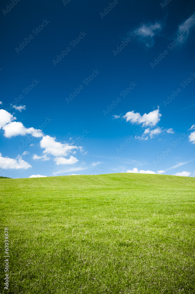 Green meadow and the blue sky