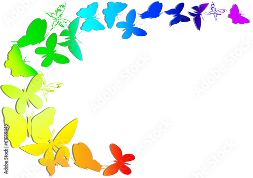 rainbow and  butterfly