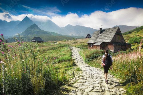 Mountains landscape