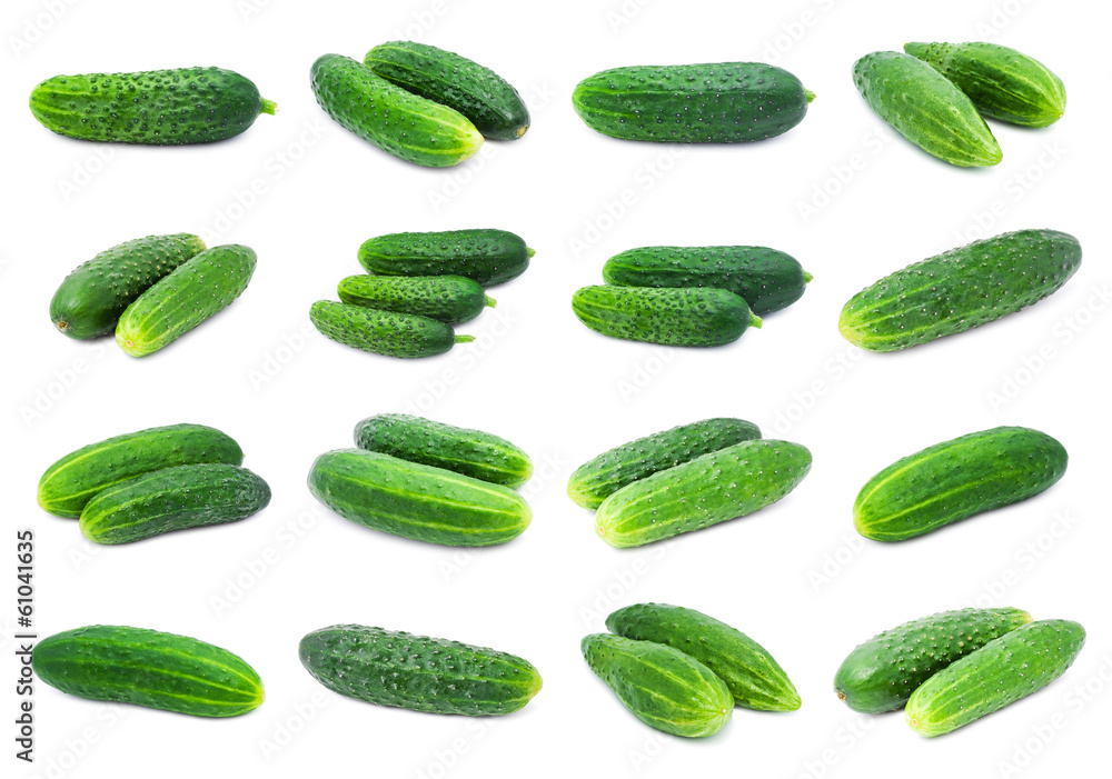 Cucumbers Cucumbers