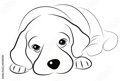 Puppy sketch isolated on white