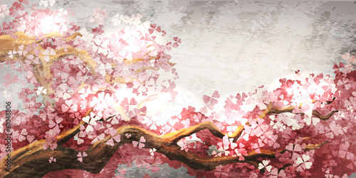 Sakura branch blooming