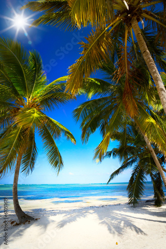 art summer Untouched tropical beach #61051619