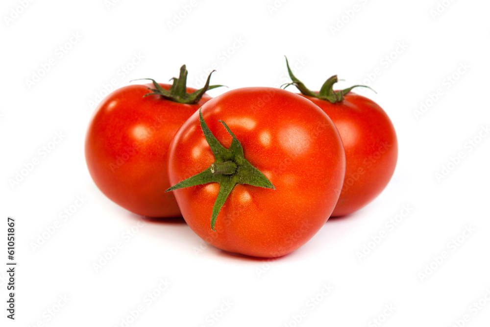 Tomatos Tomatos