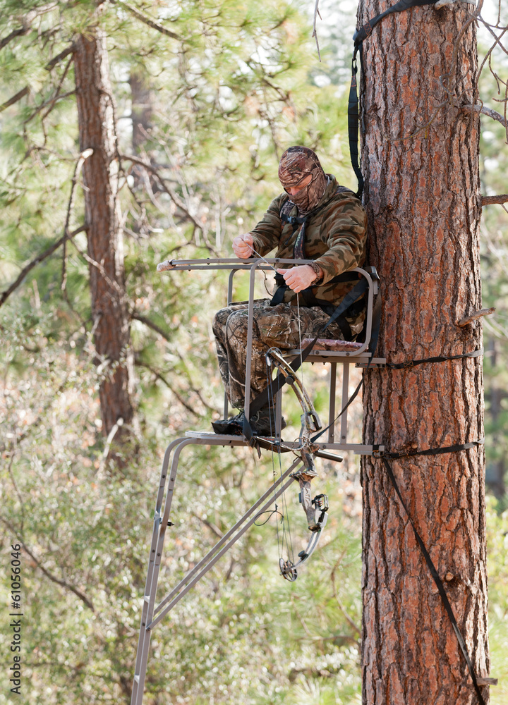 Bow hunter in a ladder style tree stand demonstrating safe practices by using a safety harness and a haul line Bow hunter in a ladder style tree stand demonstrating safe practices by using a safety harness and a haul line