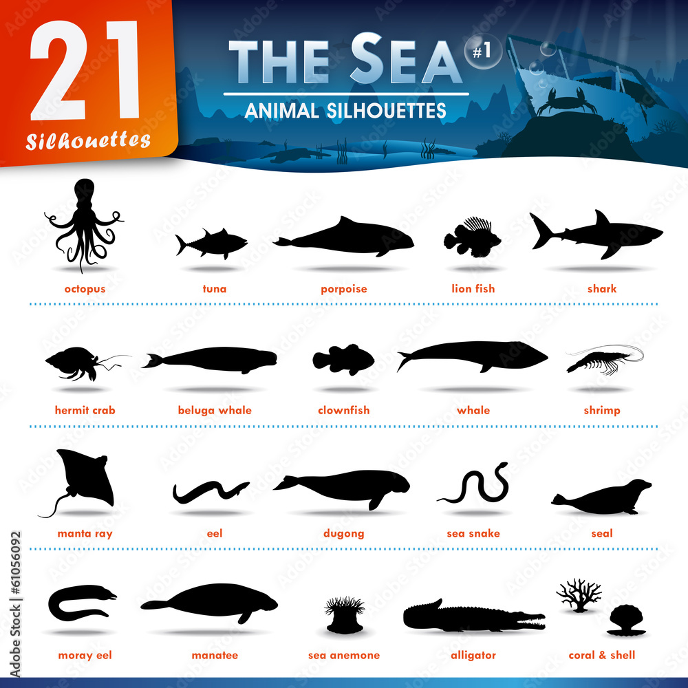 Fototapeta premium 21 Sea animal silhouettes #1