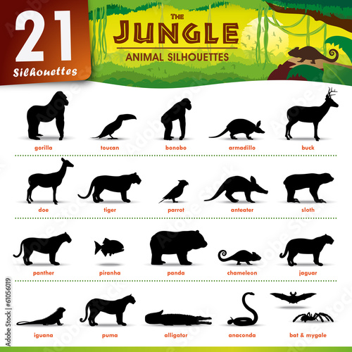 21 Jungle animal silhouettes