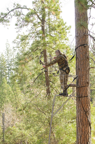 Bow hunter in a ladder style tree stand