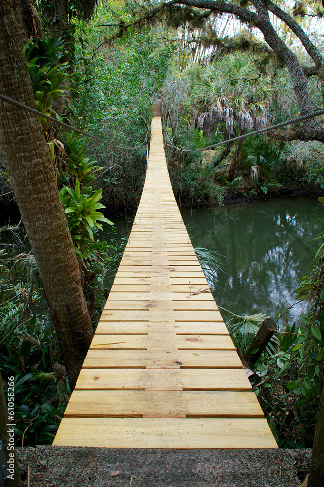 suspension walking bridge in tropics suspension walking bridge in tropics