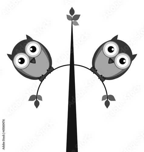 Fat owls perched on a tree
