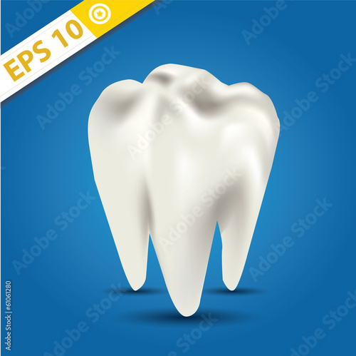Tooth vector