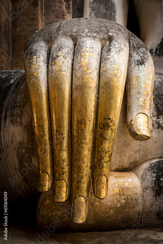 Photography The hand of mercy