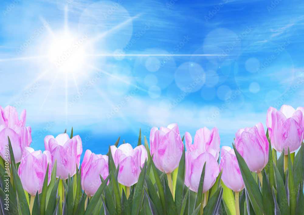 Background with Flowers