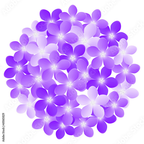 Purple flowers for Your design