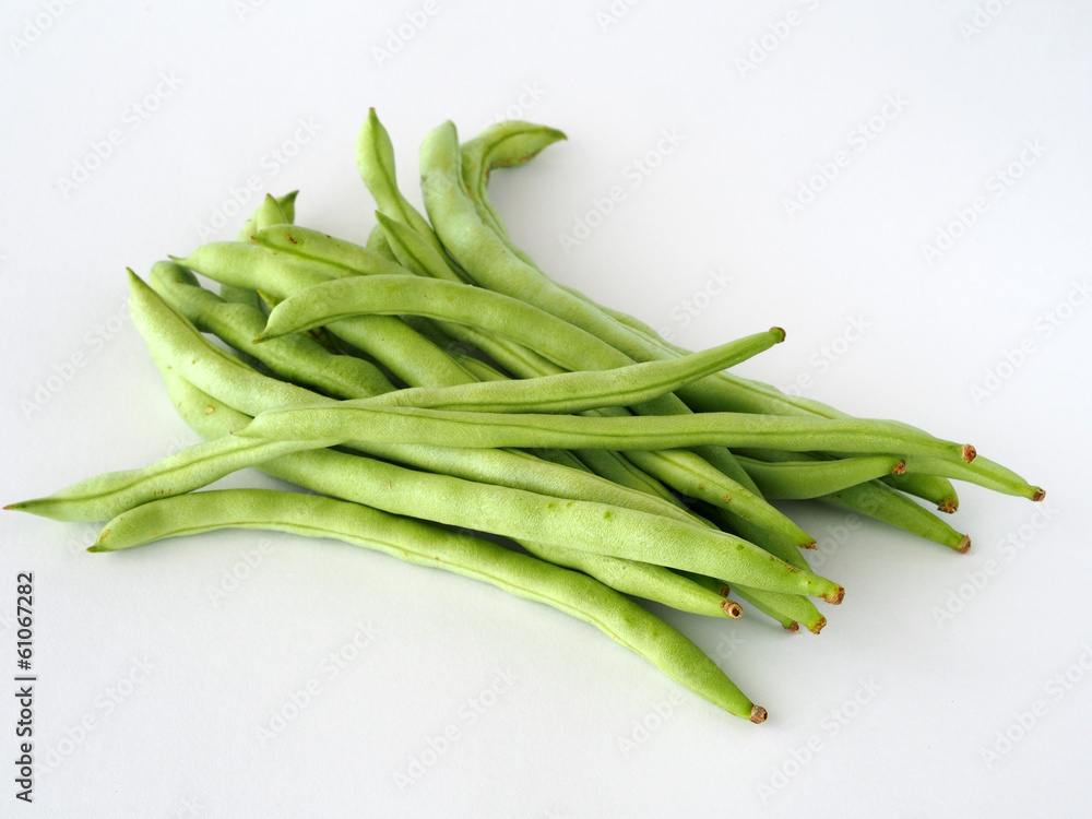 Fototapeta premium Common Beans