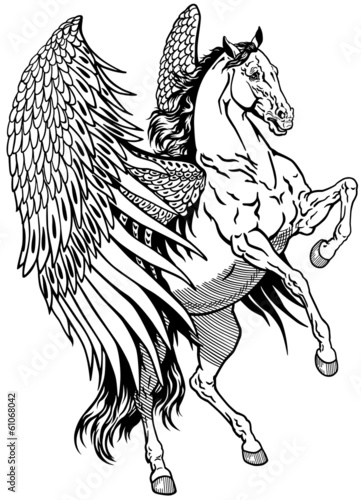 white pegasus
