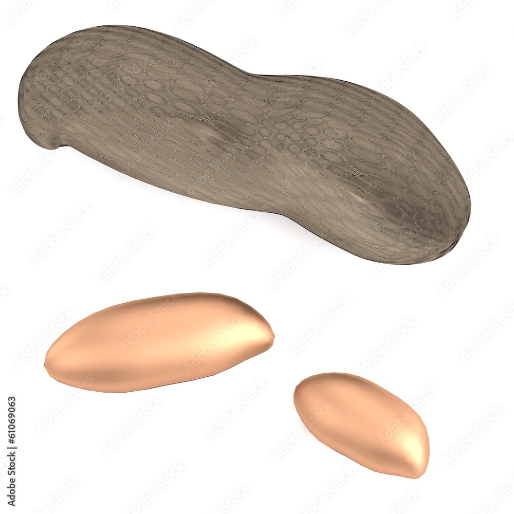 realistic 3d render of peanuts