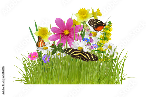 Fototapeta Naklejka Na Ścianę i Meble -  Wiese 27