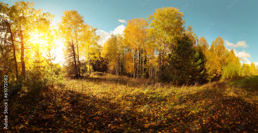 Autumn Autumn