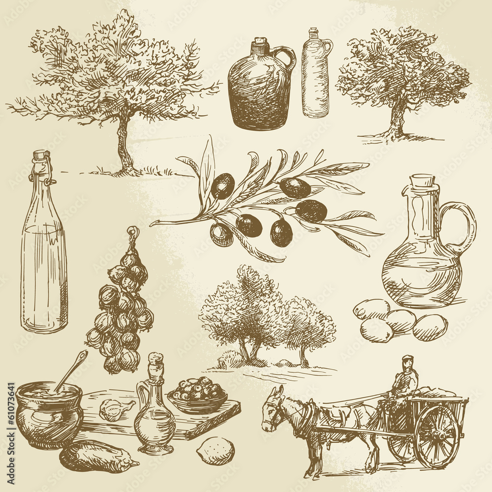 harvest and olive product - hand drawn collection - obrazy, fototapety, plakaty 