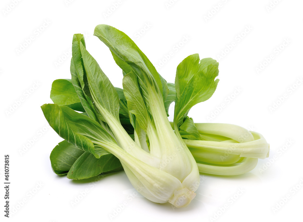 Bok choy (chinese cabbage) isolated on white background Bok choy (chinese cabbage) isolated on white background