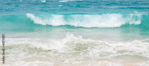 Caribbean Dream beach and wave.
