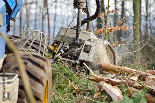 Ein Holzvollernter bei der Arbeit photo