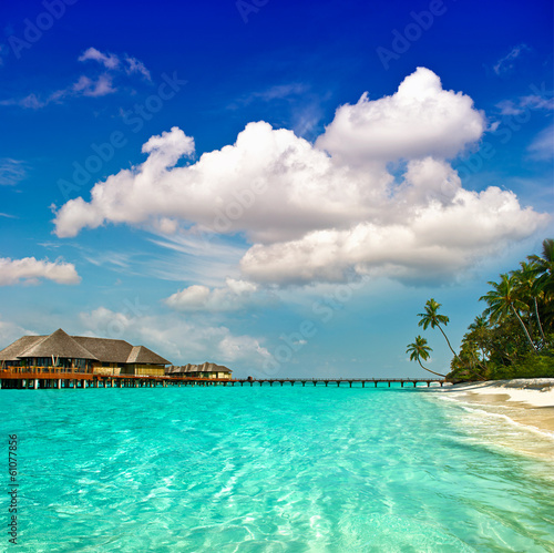 Fototapeta Naklejka Na Ścianę i Meble -  paradise island landscape. palm beach
