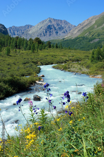 Altai. The river Karakabak.