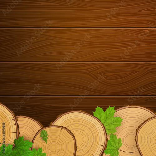 Vector Illustration of a Wood Background