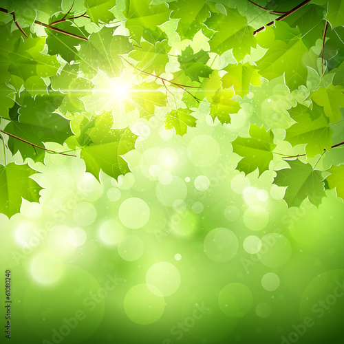 Natural green background. Vector