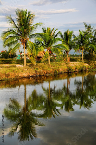 Coconut Palms near the canal © Vasiliy Koval