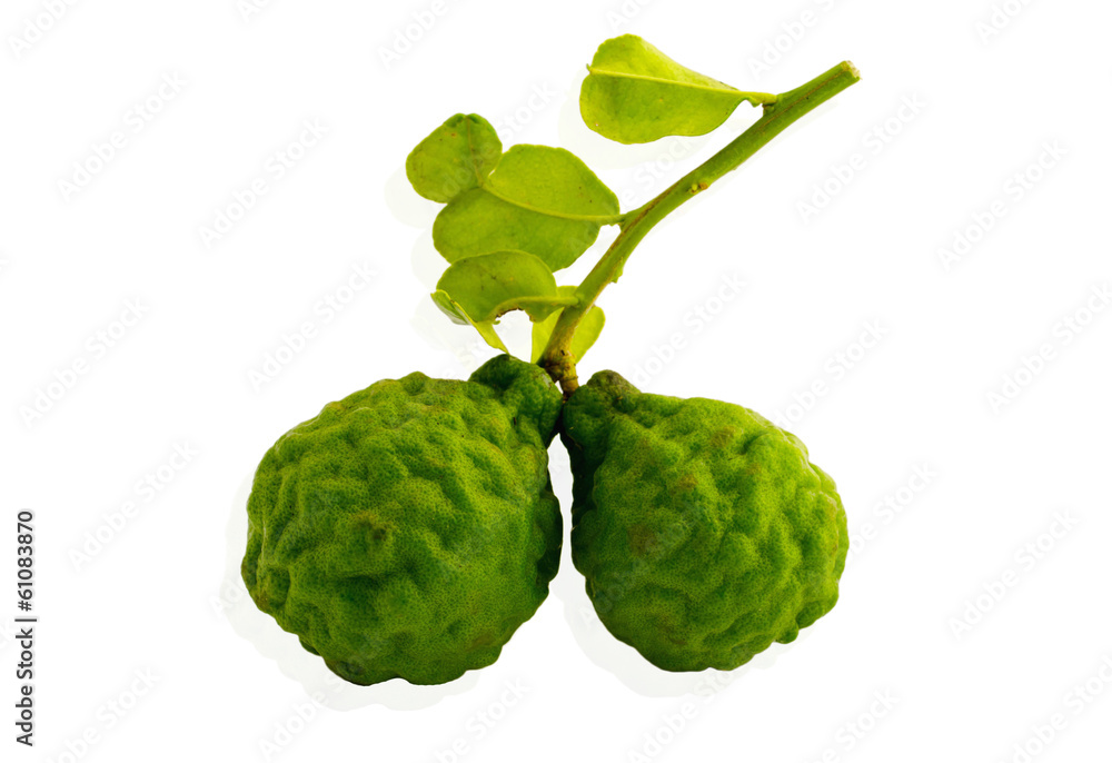 Fototapeta premium Kaffir lime isolate on white background