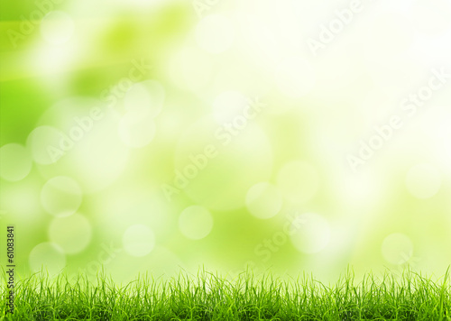 grass